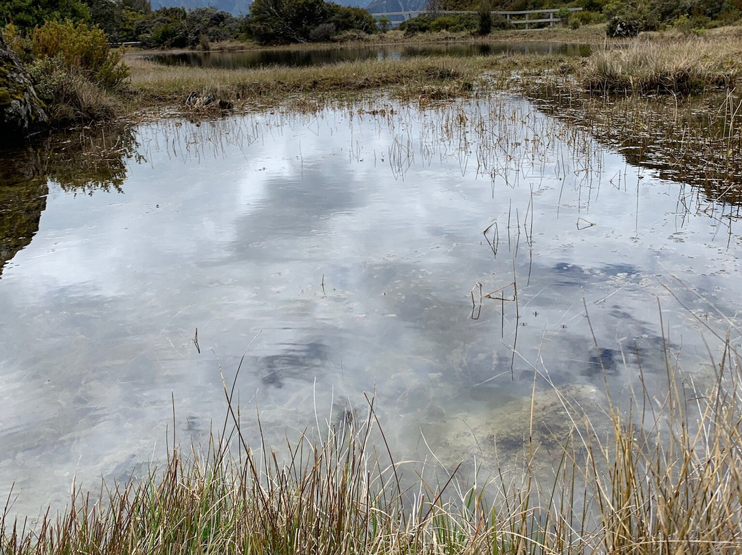 Red Tarns Track-库克山村庄必去景点