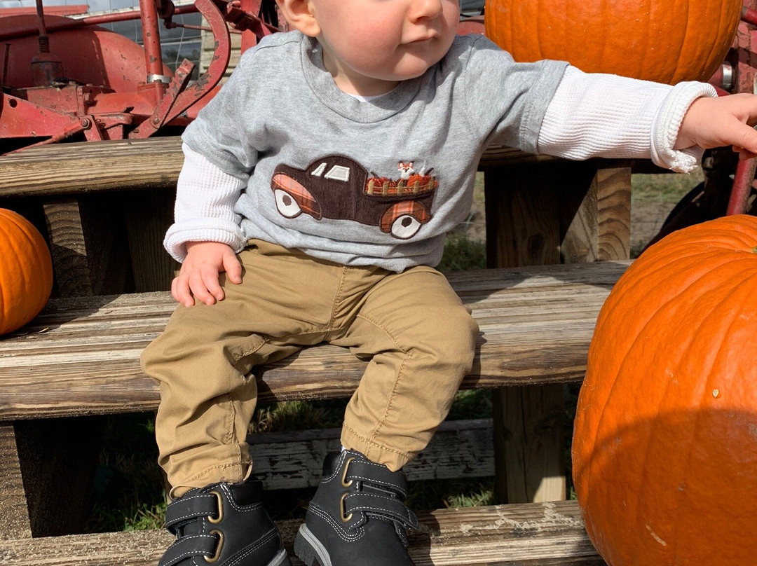 Parson's Farms-Dagsboro必去景点