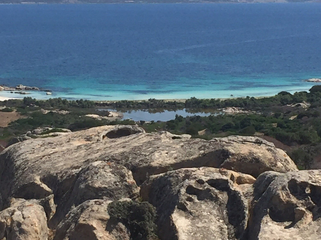 Cala Sant'Andrea-Asinara必去景点