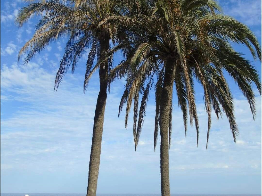 Playa de la Rada景点图片