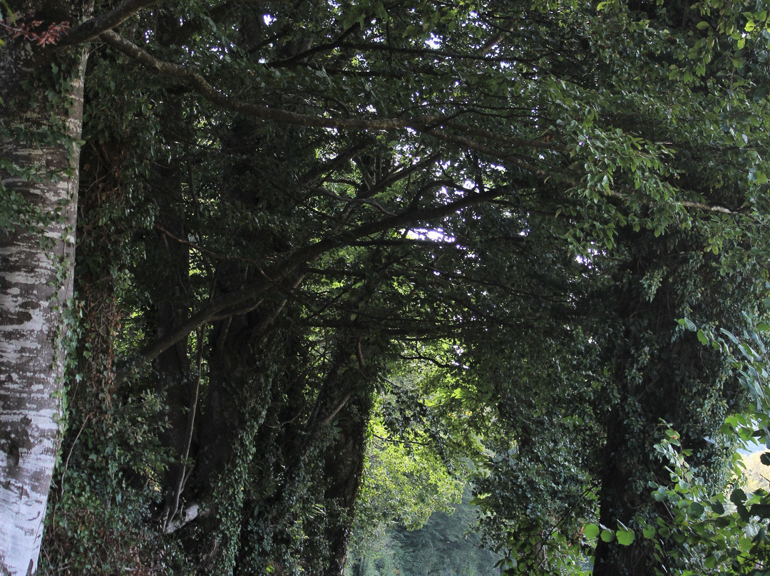 Les Hauts de Sousceyrac-Sousceyrac必去景点