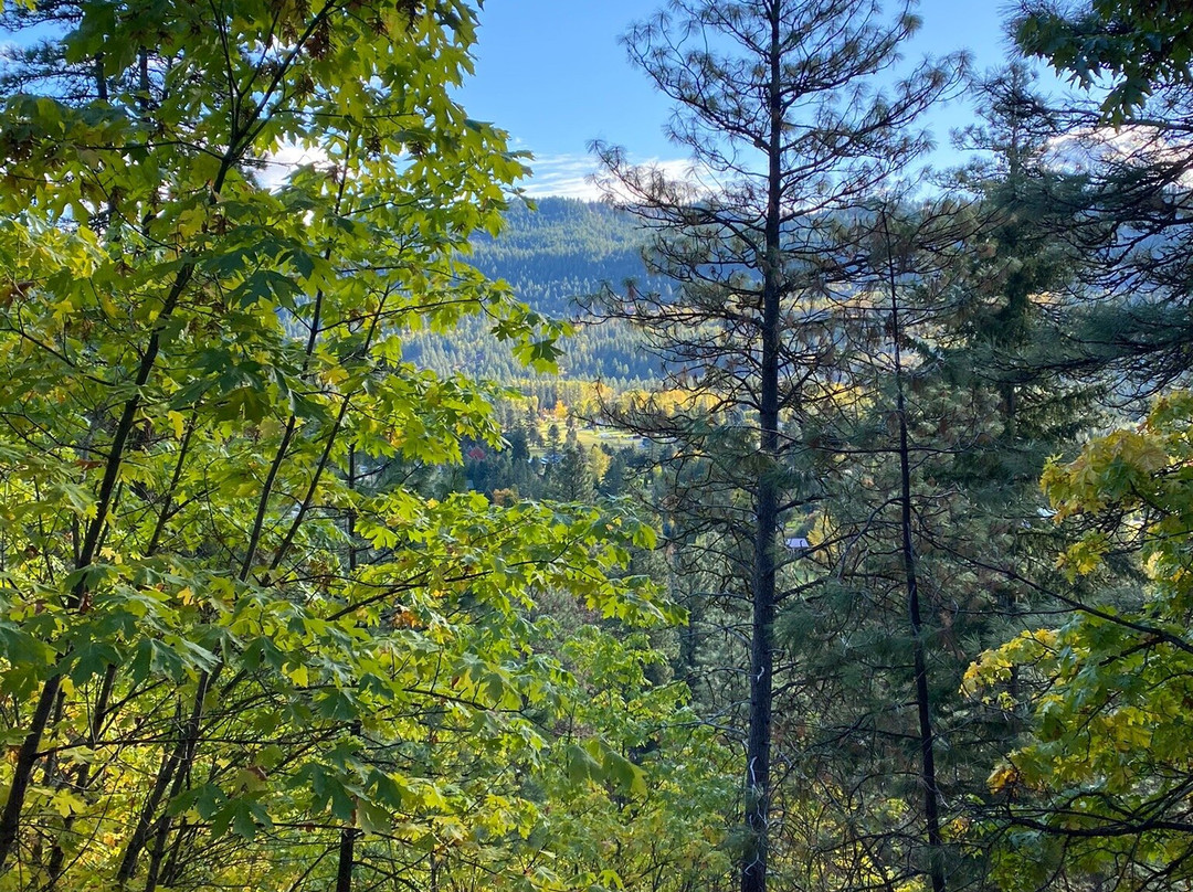 Icicle Ridge Trail景点图片