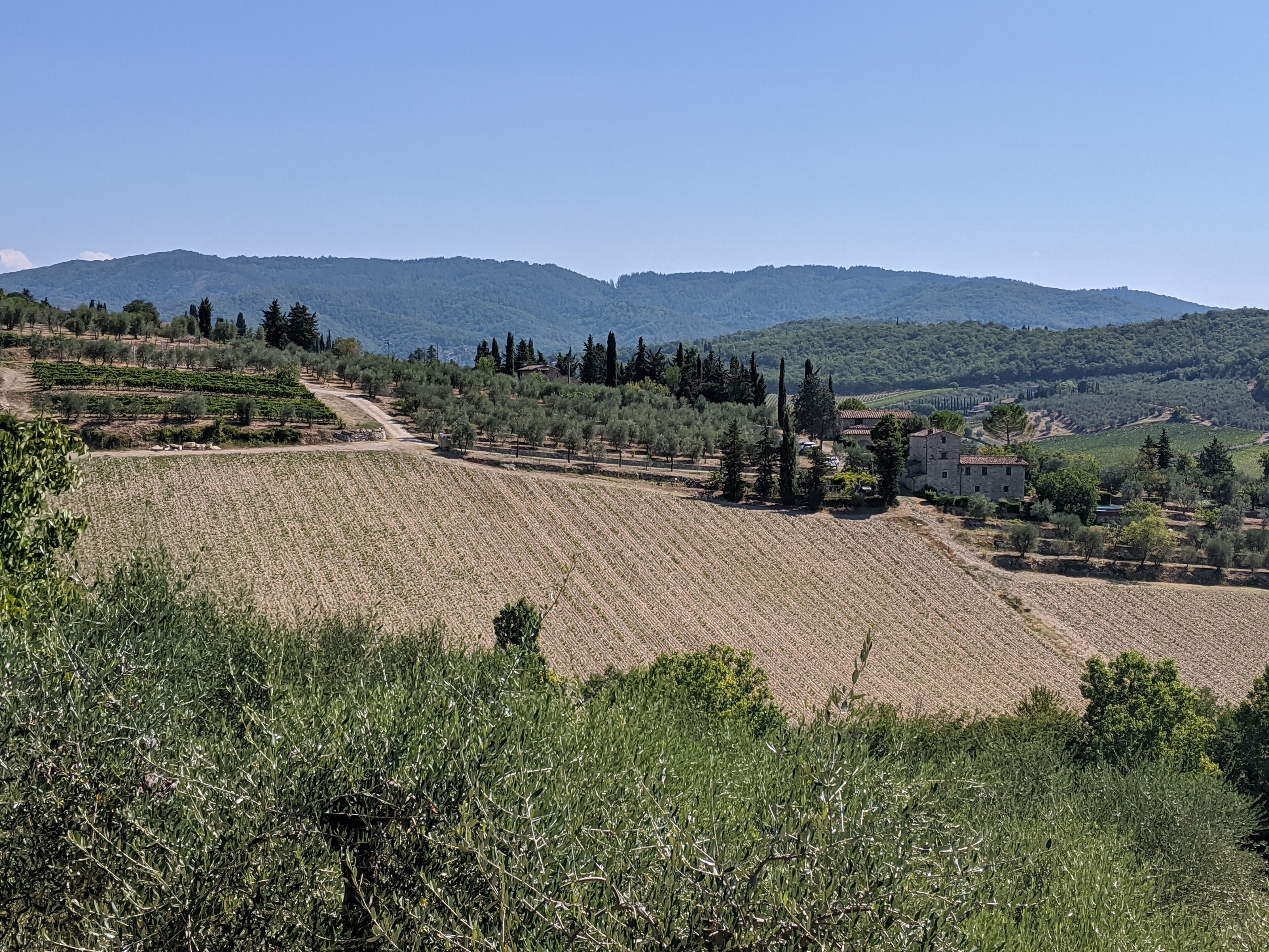 Podere Val delle Corti-酒店景观