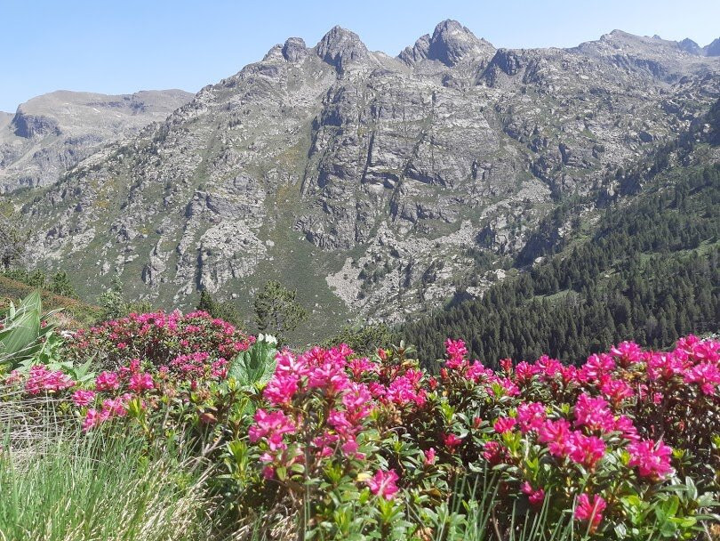 Hotel Llop Gris主图