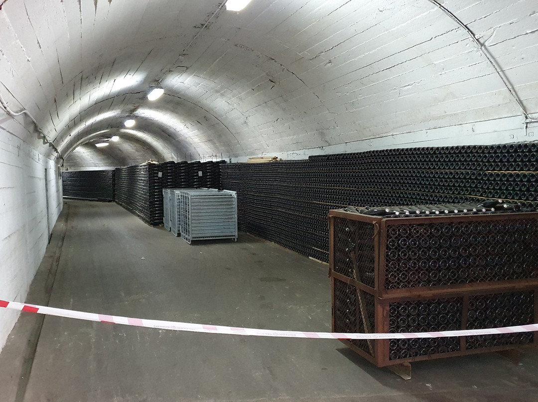 Novy Svet Winery-Novyi Svit必去景点