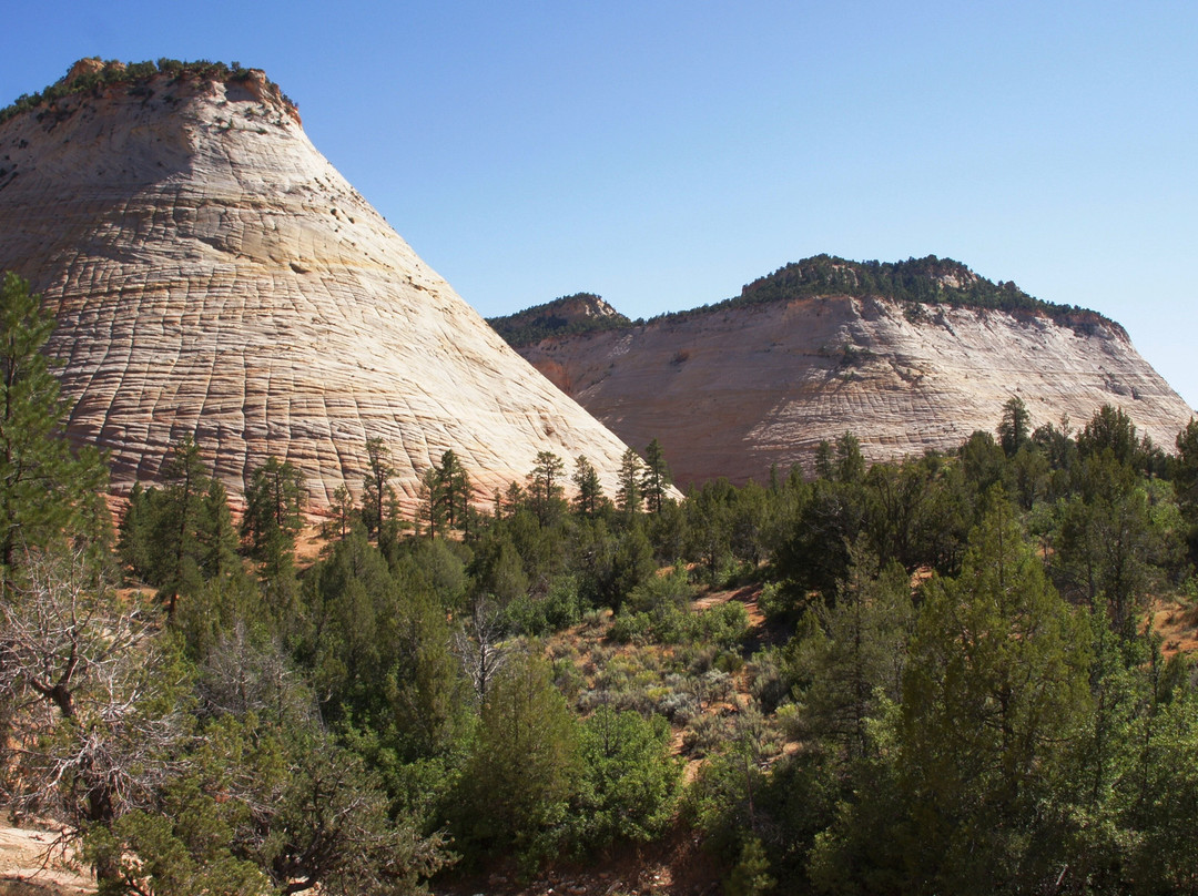 Checkerboard Mesa-锡安国家公园必去景点