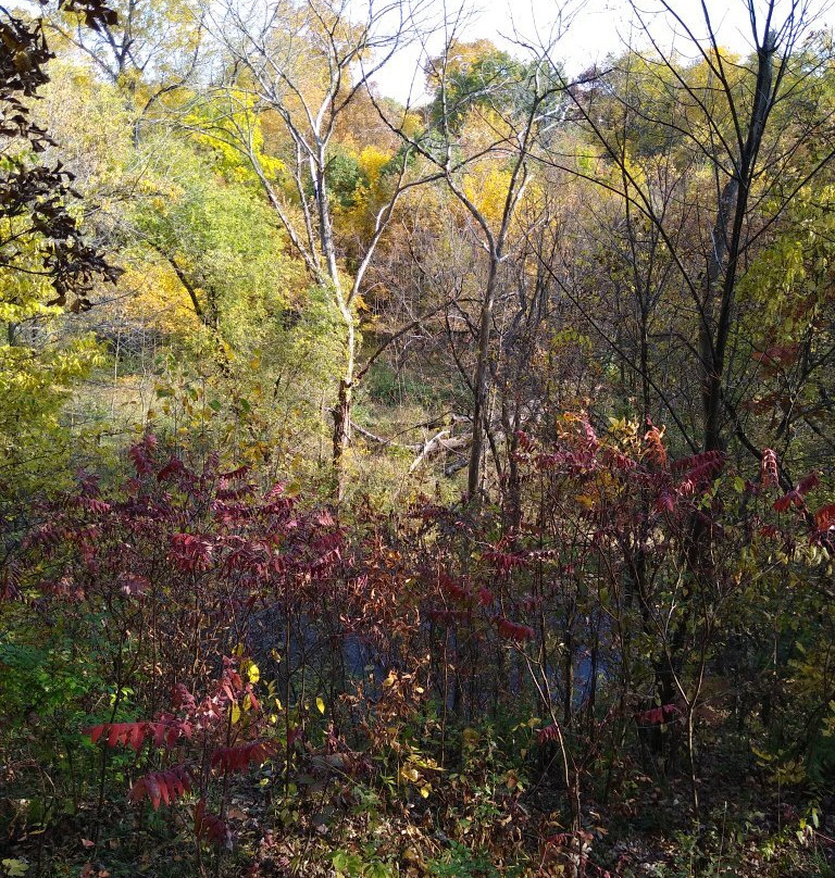 Oakdale Nature Preserve-弗里波特必去景点