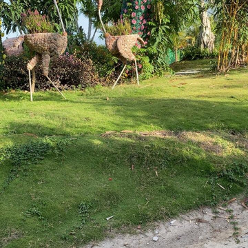 Туоператор МИР ТУР-芽庄必去景点