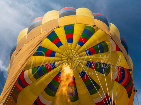 Grape Escape Balloon Adventures-特曼库拉必去景点