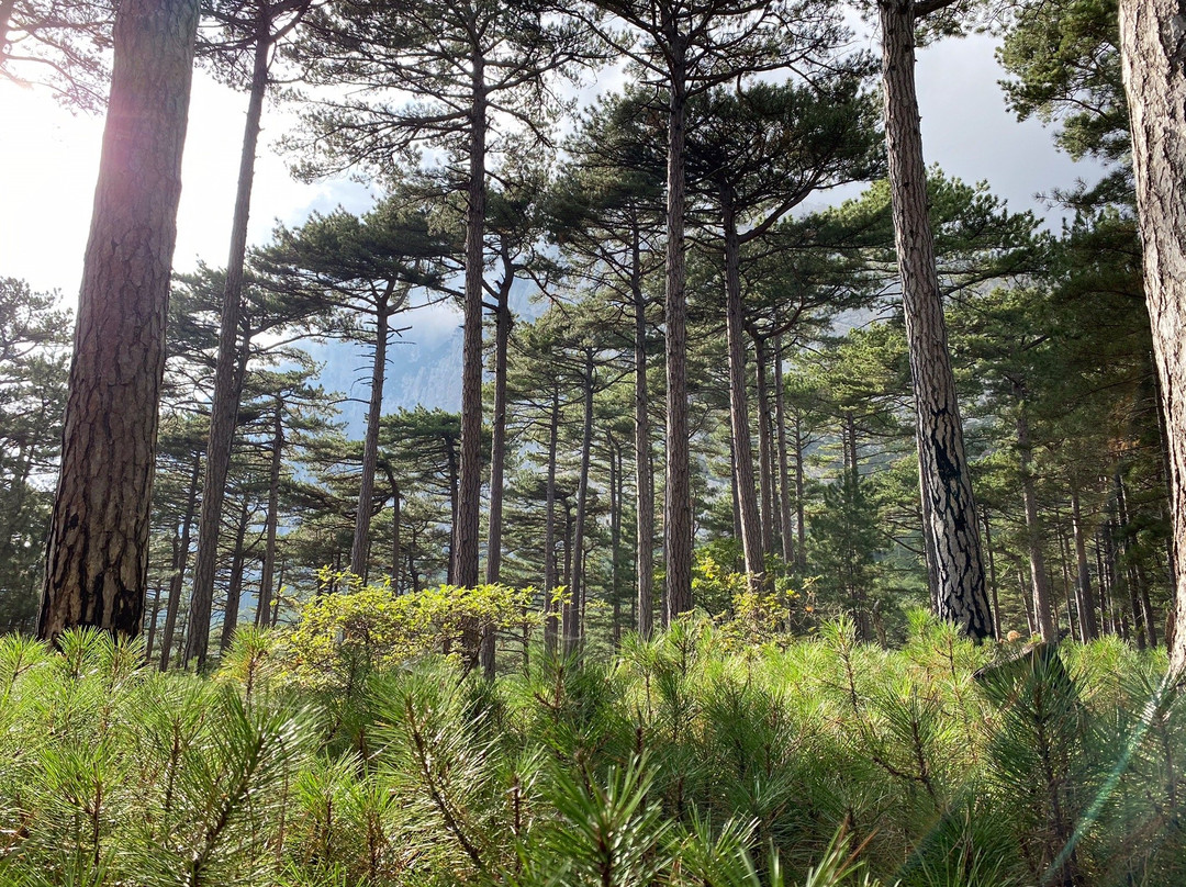 Koreiz trail-Koreiz必去景点