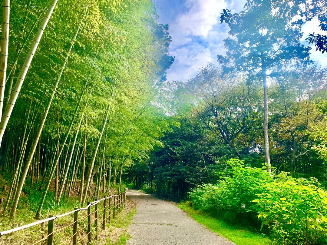 Iwaya Kannon-do Temple-丰桥市必去景点