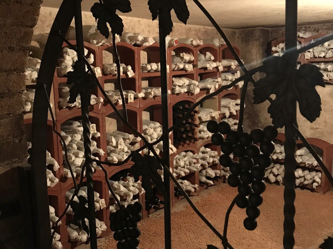 Cantina Francone-Neive必去景点