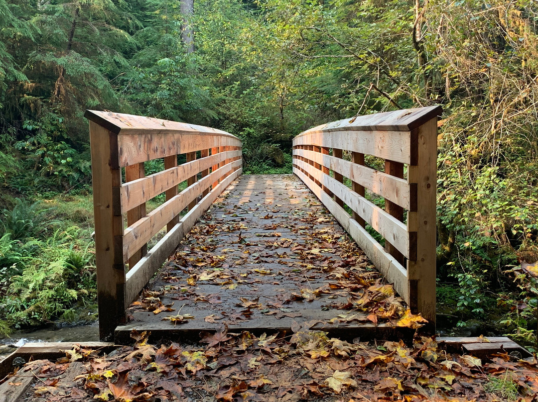 Rain Forest Nature Trail景点图片