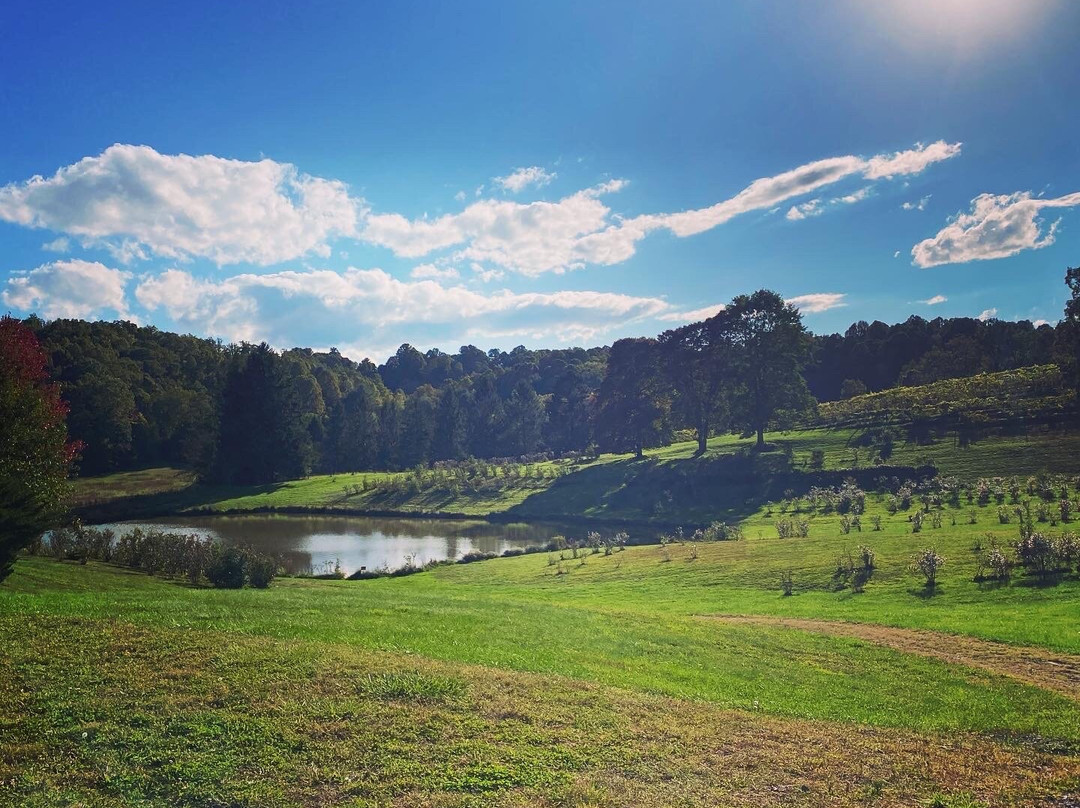 Daniel Vineyards-Crab Orchard必去景点