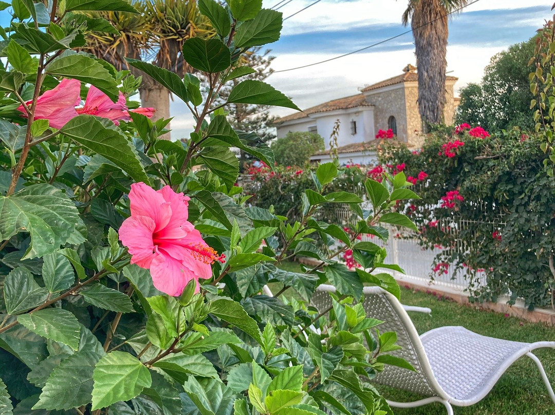 Hostal Fortuna主图