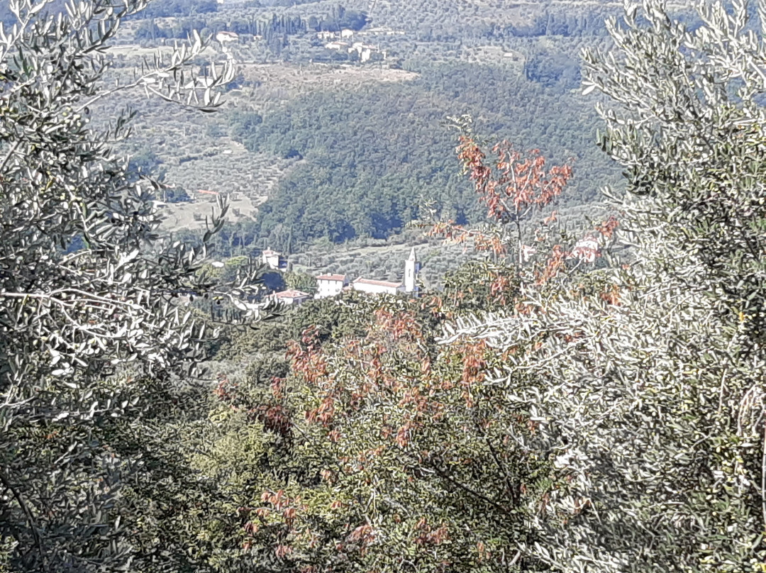 Santuario di Valdibrana-皮斯托亚必去景点