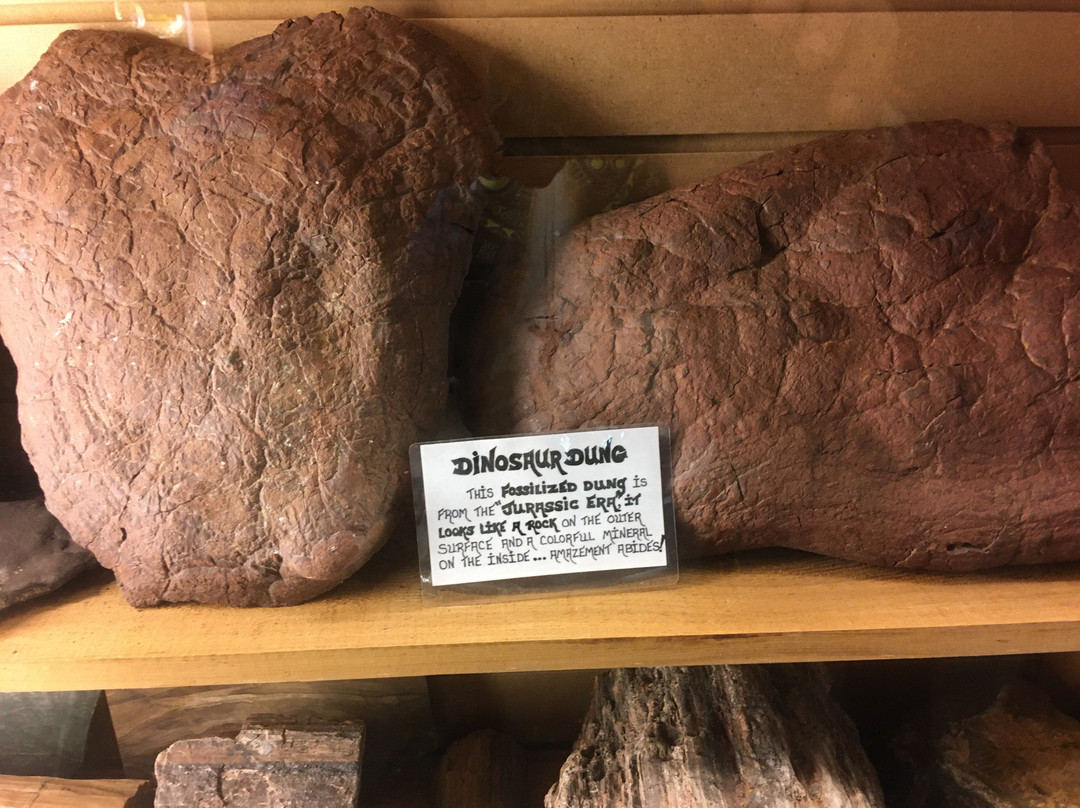 Golden Pioneer Museum-Golden必去景点