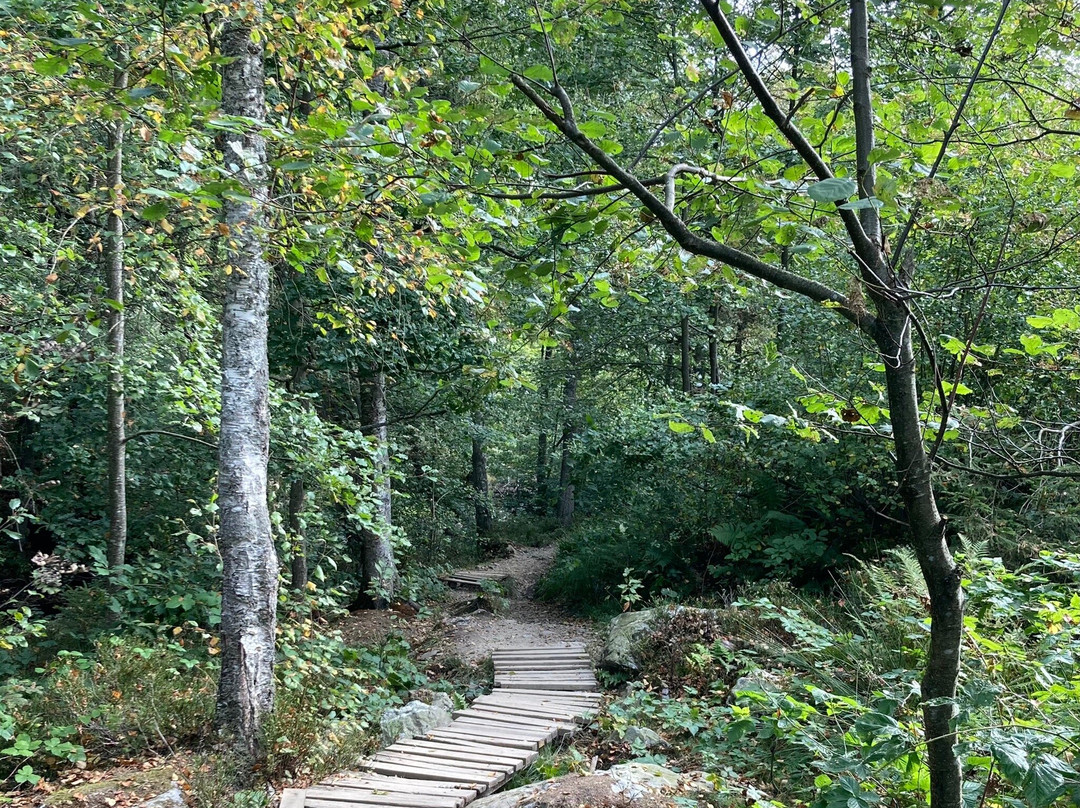 La Vallée de la Hoëgne景点图片