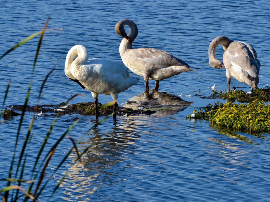 Horicon Marsh-Mayville必去景点