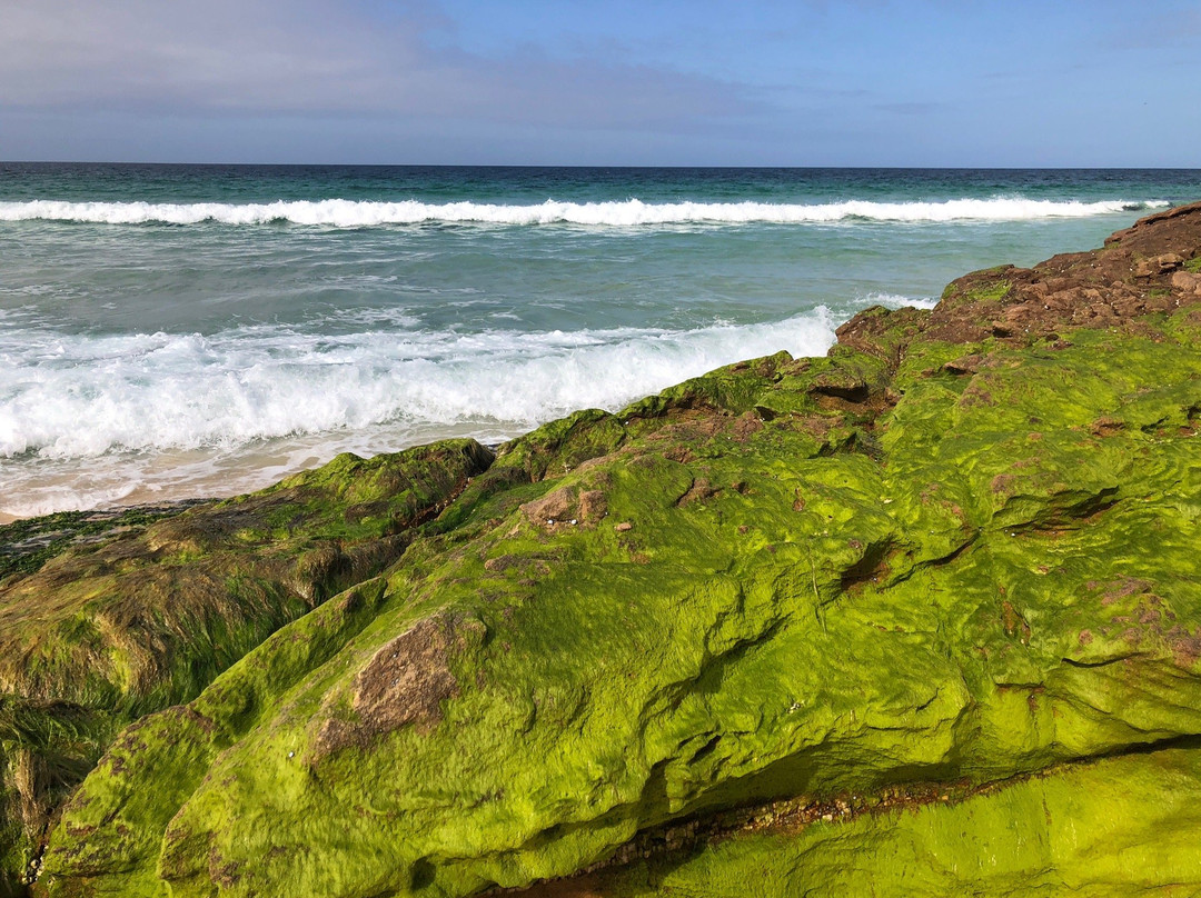 Pinnacles Beach-伊登港必去景点