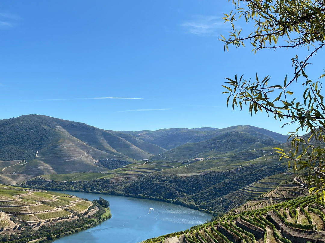 Douro Feeling景点图片