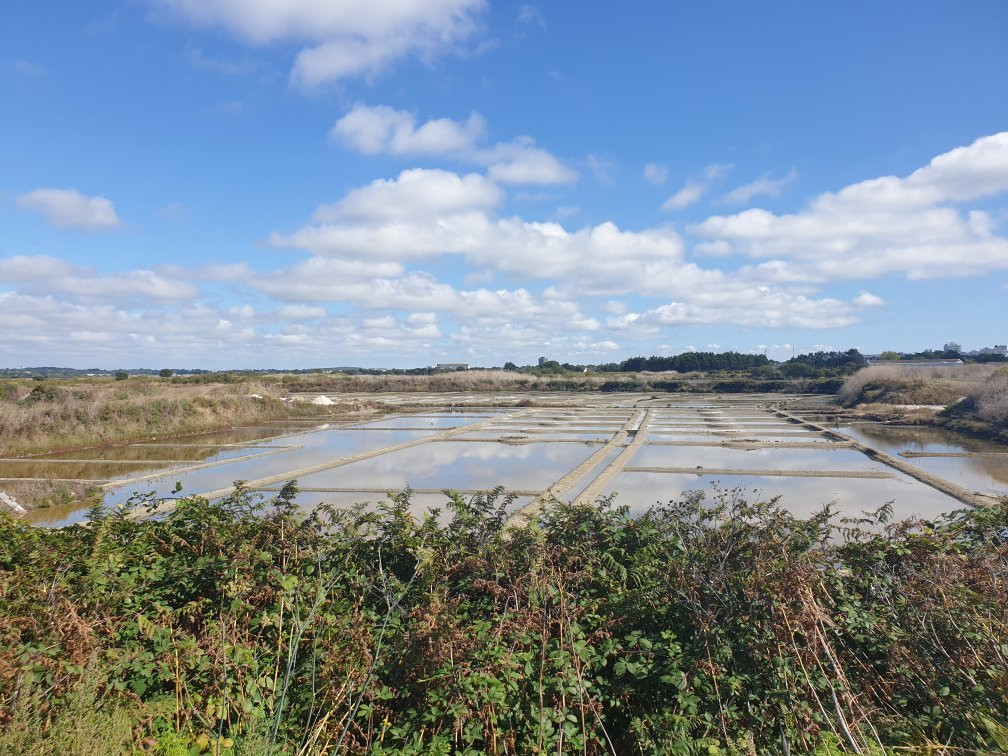 Marais Salants de Guerande景点图片