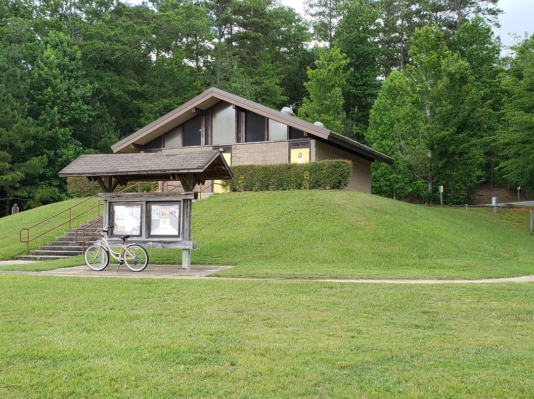 William Bankhead National Forest-Double Springs必去景点