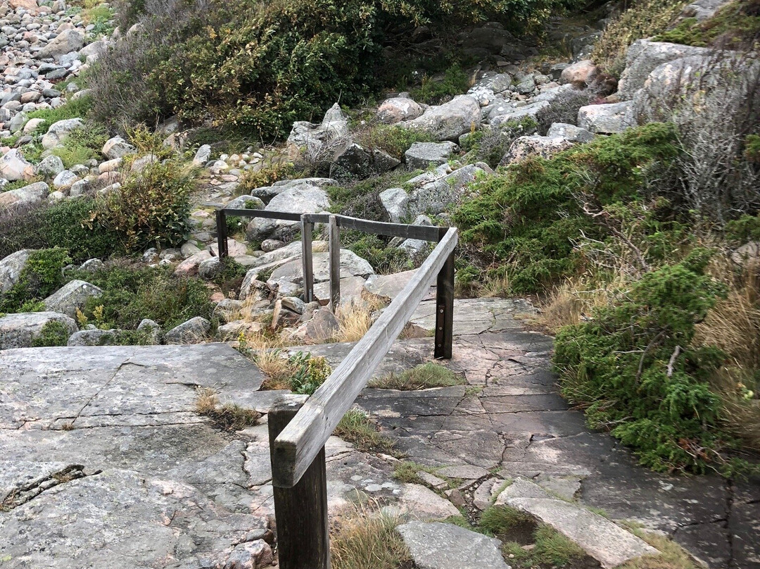 Särö Västerskog Naturreservat-孔斯巴卡必去景点