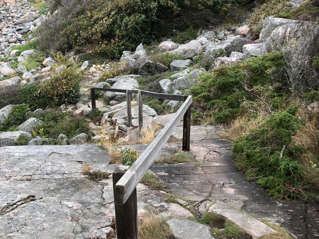 Särö Västerskog Naturreservat景点图片