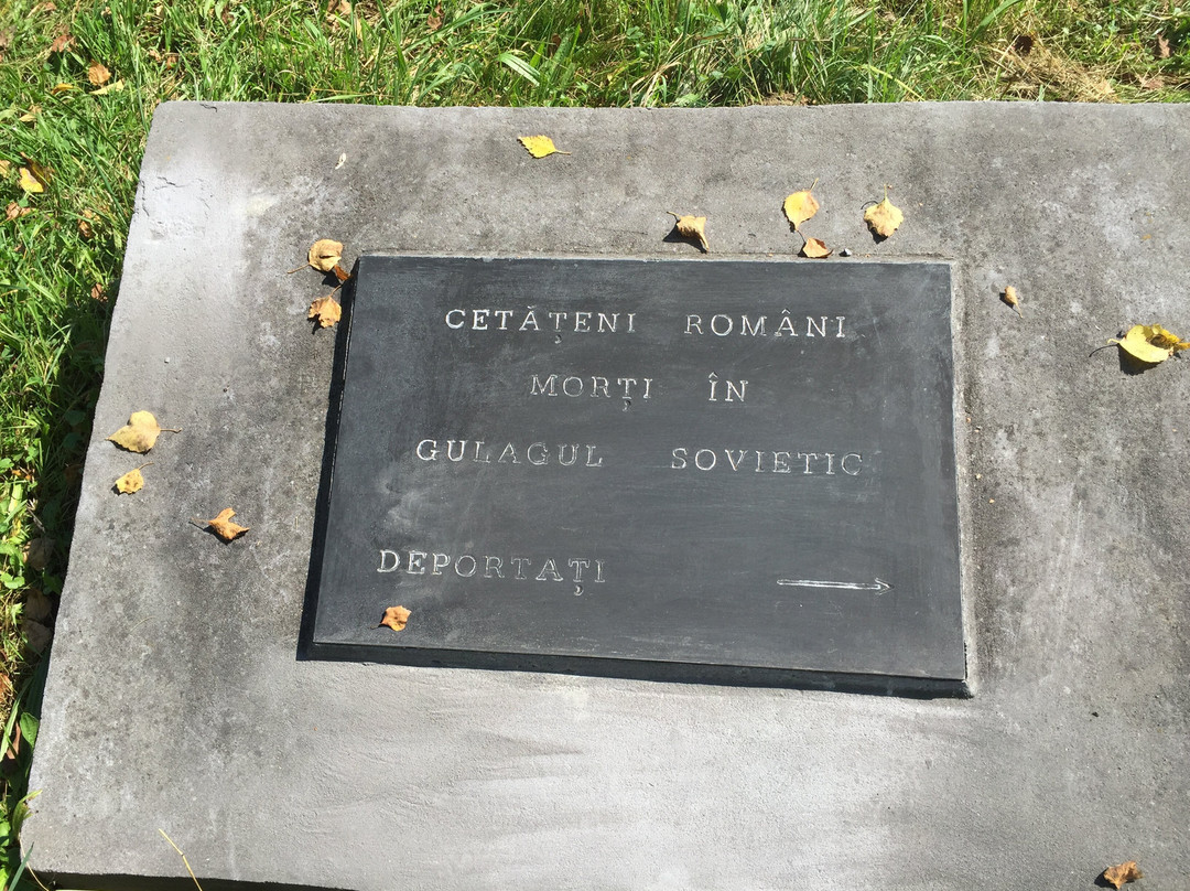Cimitirul Săracilor景点图片