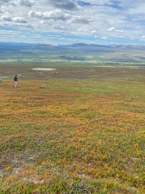 Experience Grövelsjön-Grovelsjon必去景点