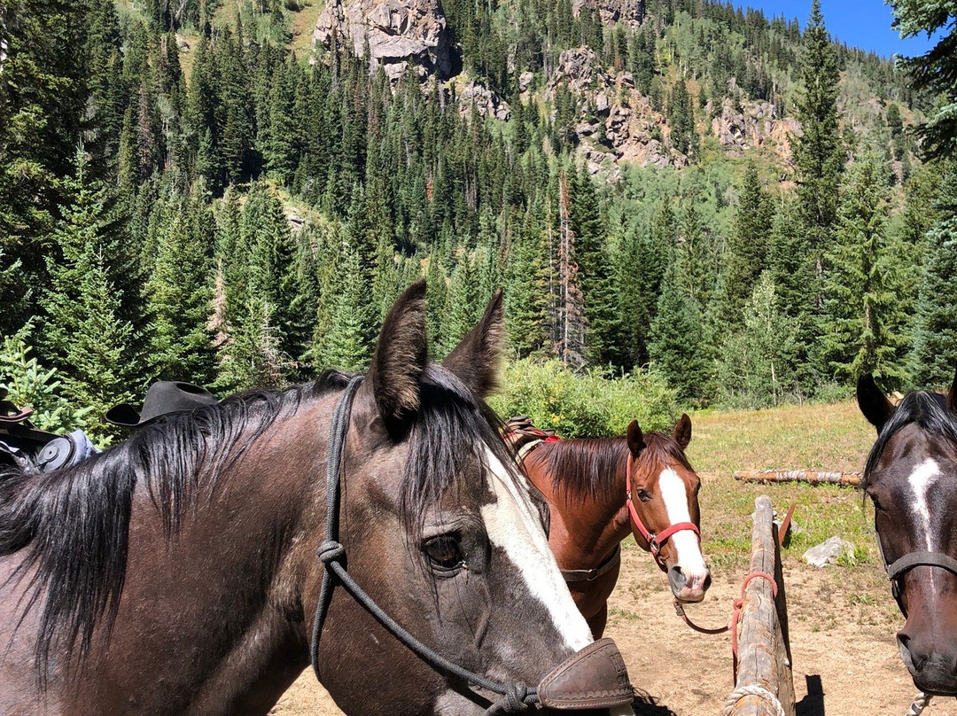 Beaver Creek Stables-比弗河必去景点