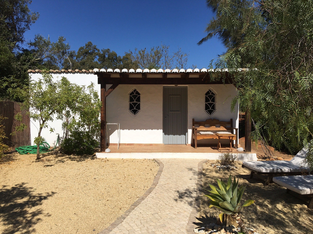 charlotte be my Guest主图