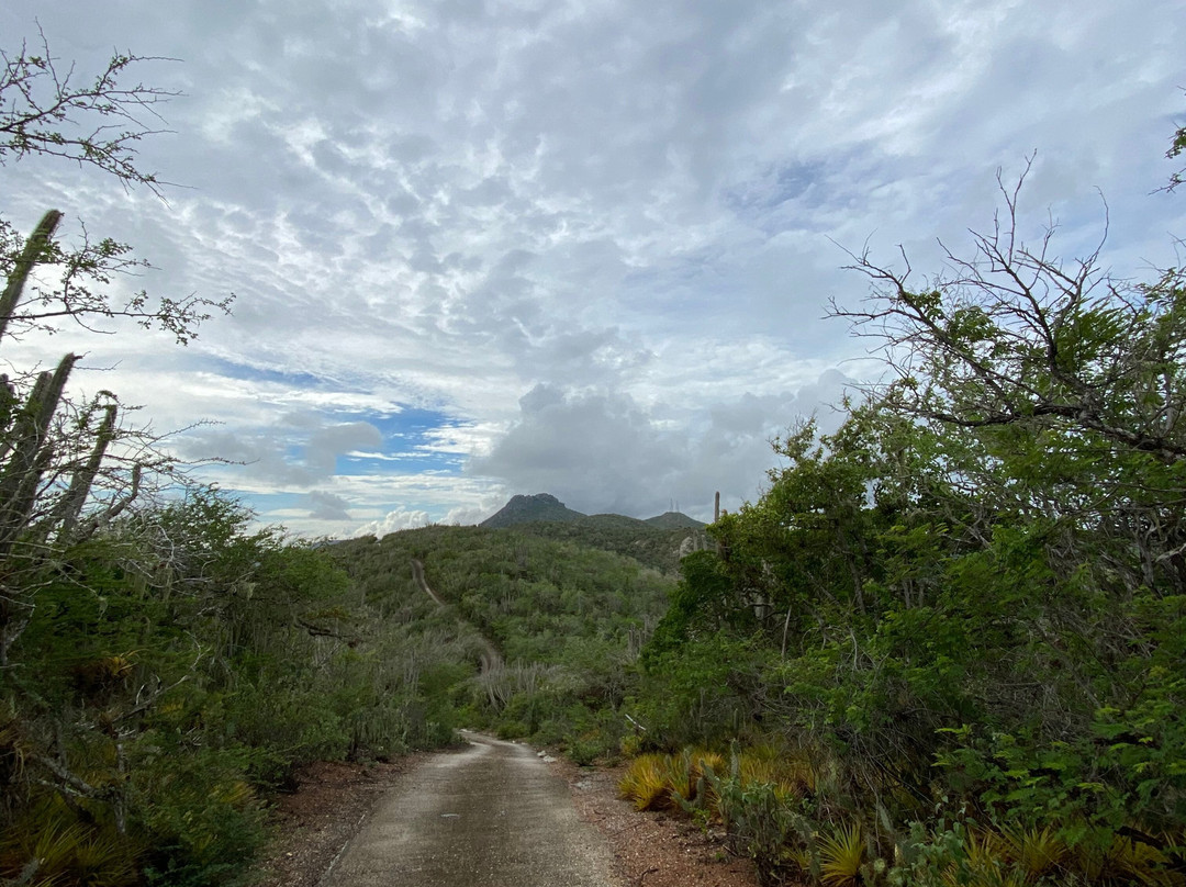 Christoffelpark-Sabana Westpunt必去景点