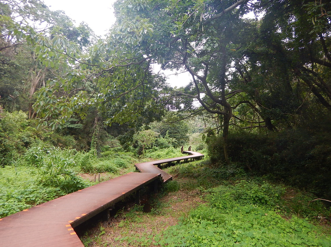 Koajiro Forest-三浦市必去景点