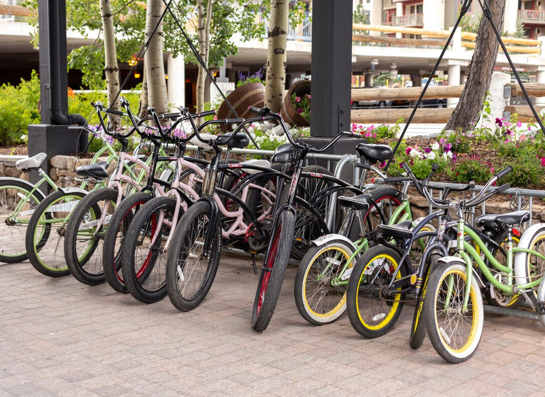 斯阔谷红太狼小屋主图