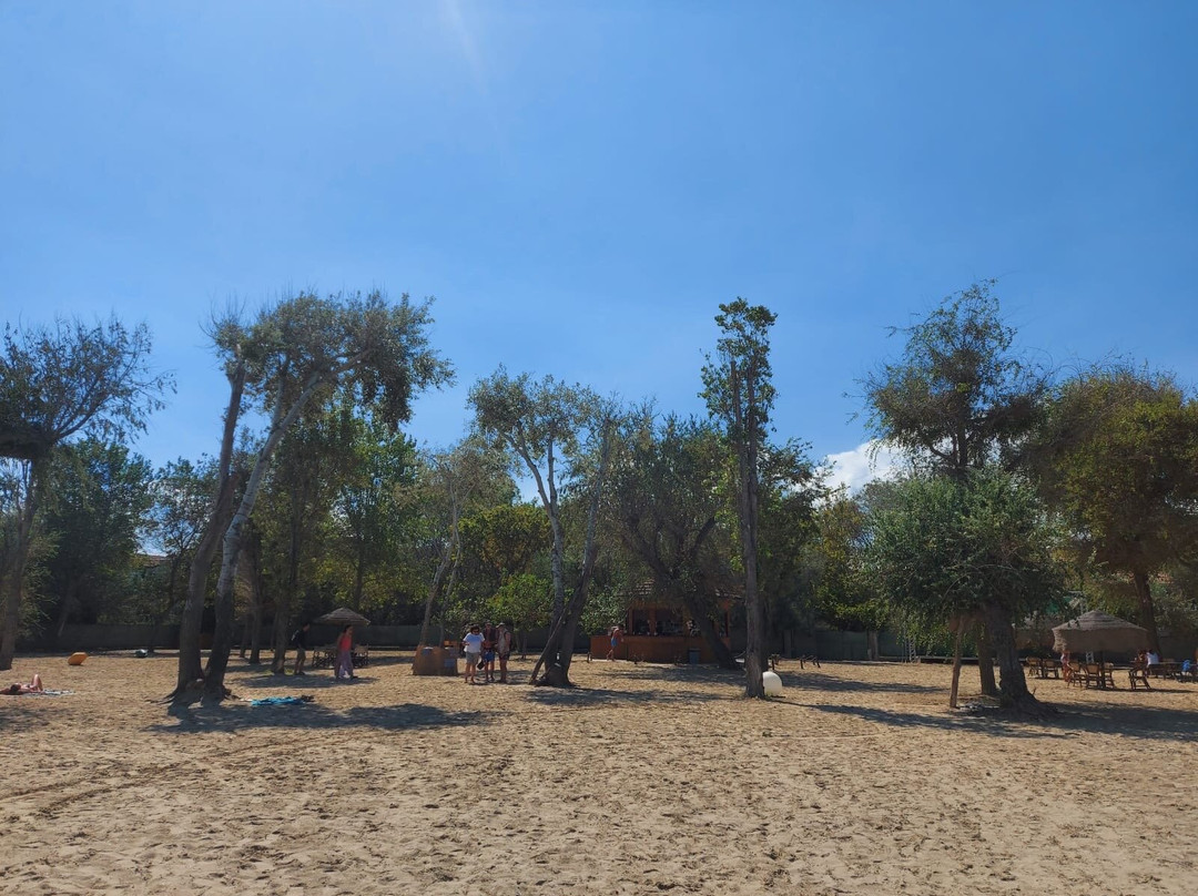 Sand Gate Beach景点图片