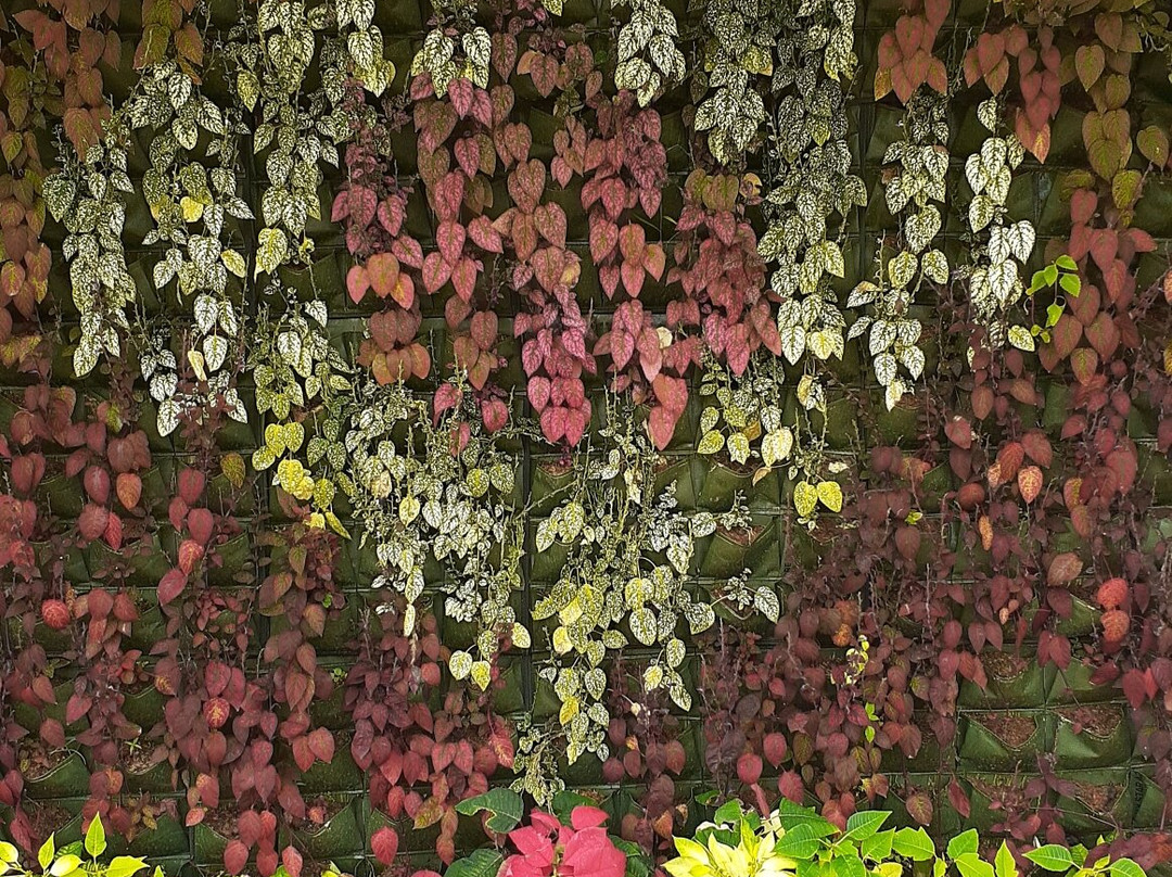 Taman Bunga Nusantara-Cianjur必去景点