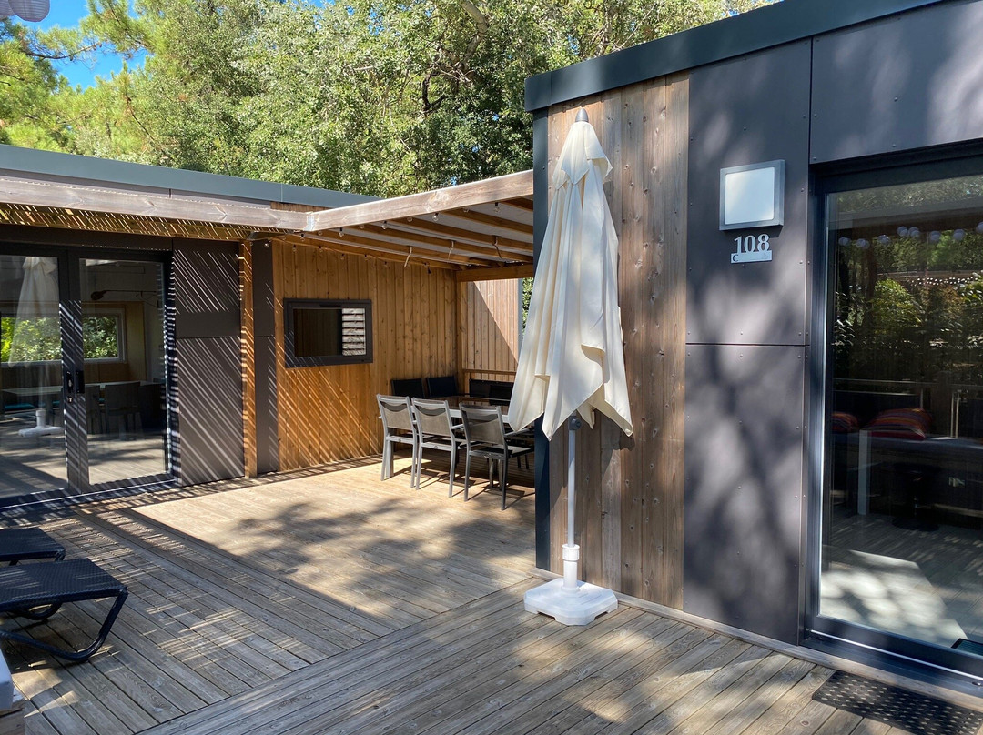 Sandaya Interlude主图