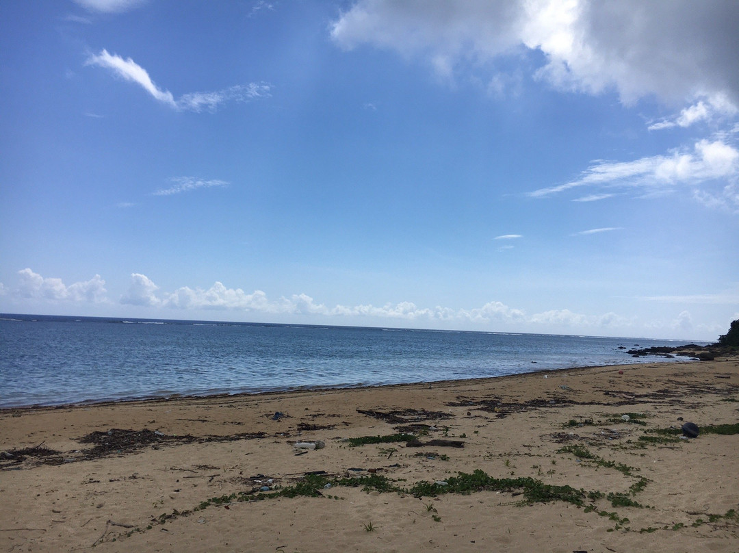 Haemida Beach景点图片