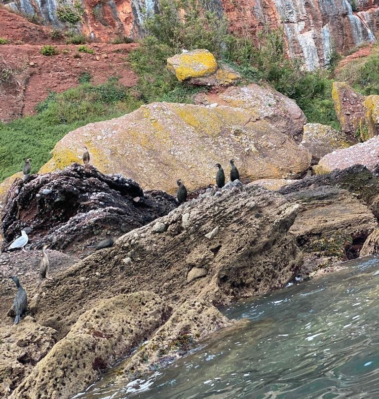 Sea Kayak Torbay-托基必去景点