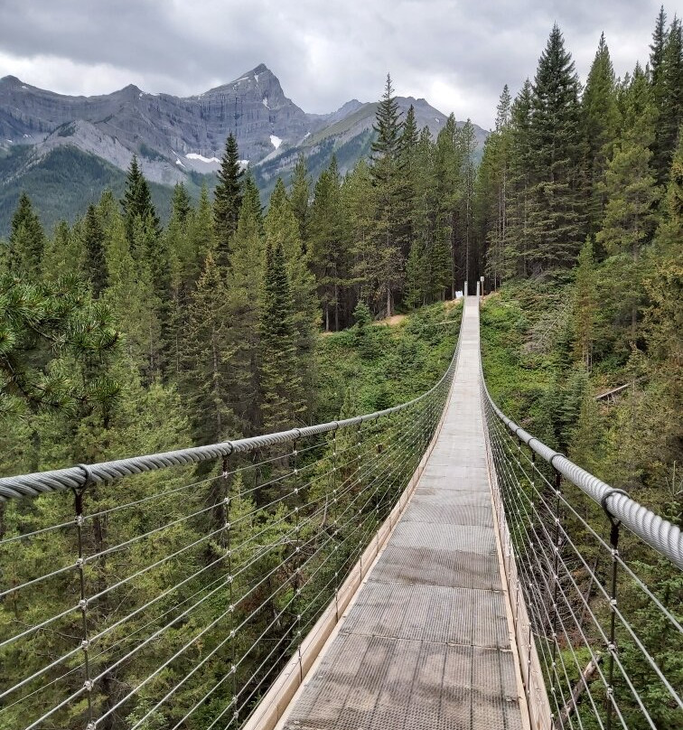 Blackshale Suspension Bridge-Peter Lougheed Provincial Park必去景点