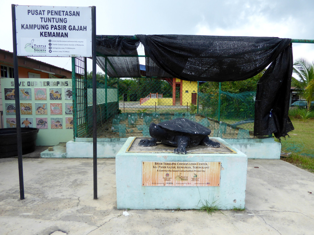 Tcs River Terrapin Conservation Centre-Kemaman District必去景点