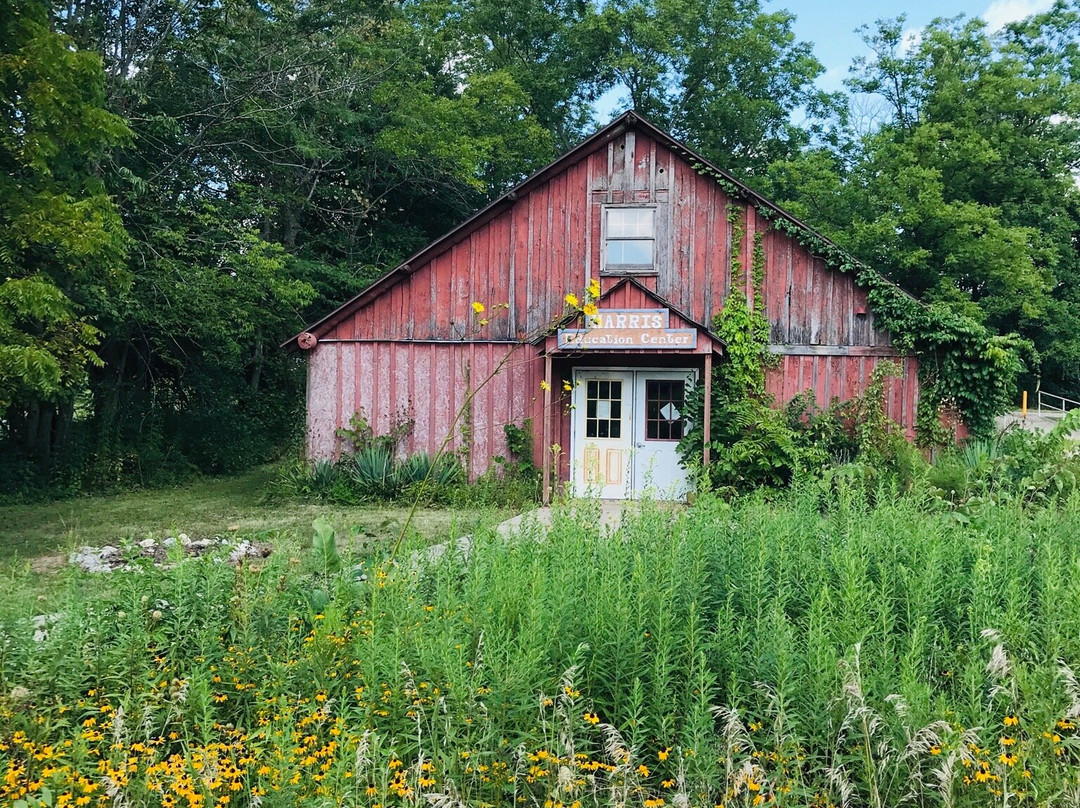 Lincoln Log Cabin-Lerna必去景点