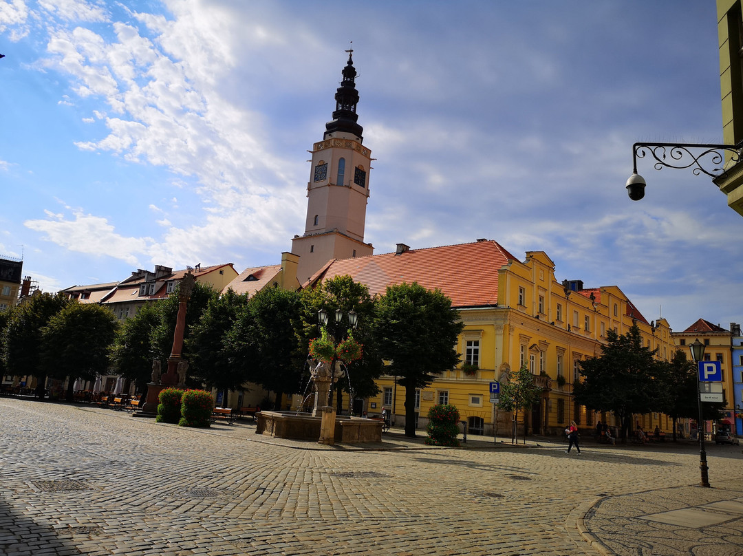 Town Hall, Swidnica (Ratusz w Swidnicy)景点图片