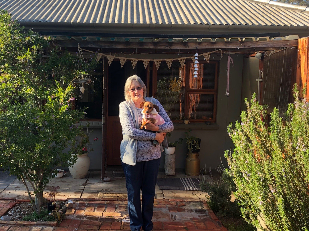 Cape Robin Guesthouse主图