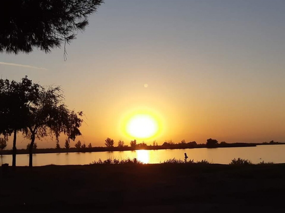 Buena Vista Aquatic Recreational Area