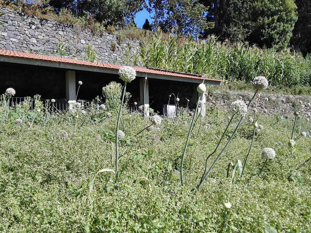 Hotel Quinta da Serra主图