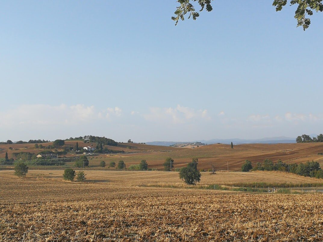 Agriturismo Poggio Sassineri-酒店景观
