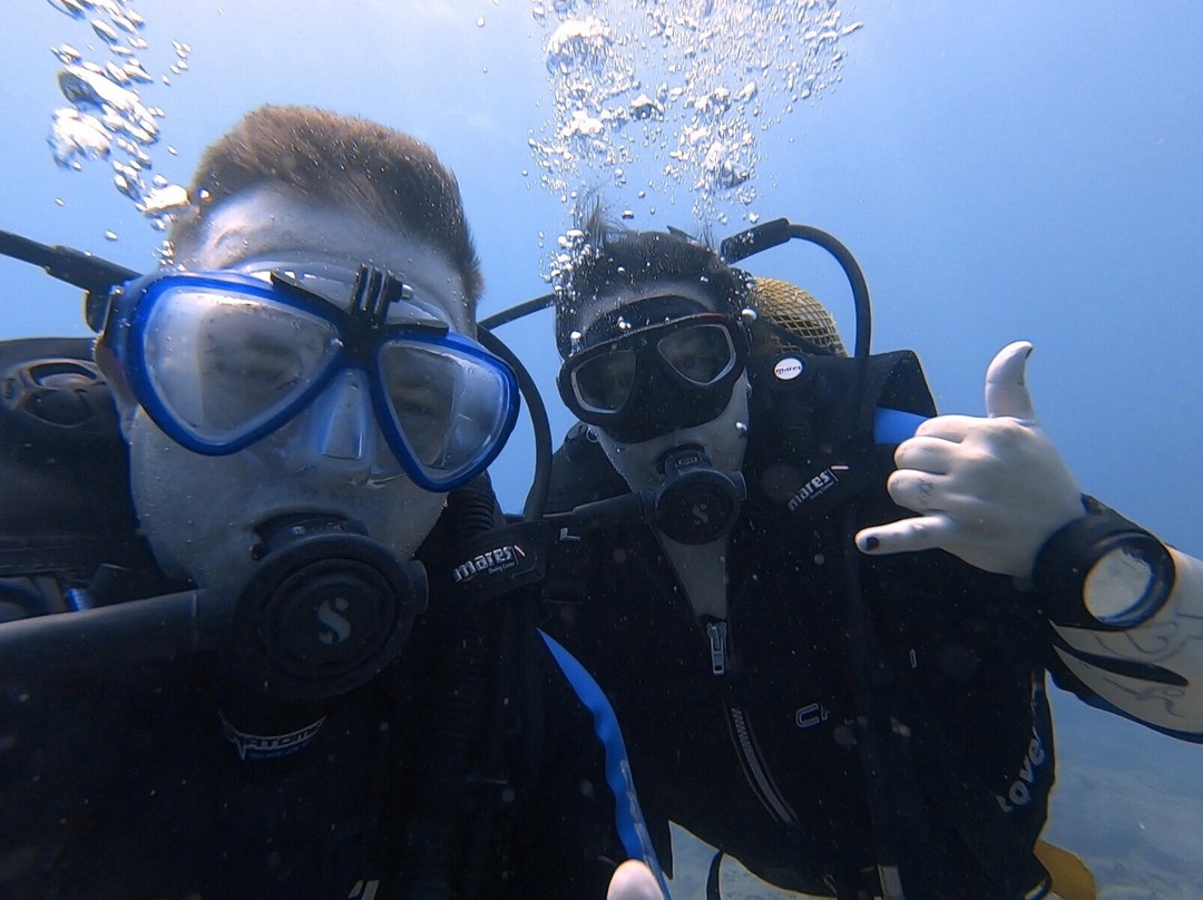 Diveria Diving Center景点图片